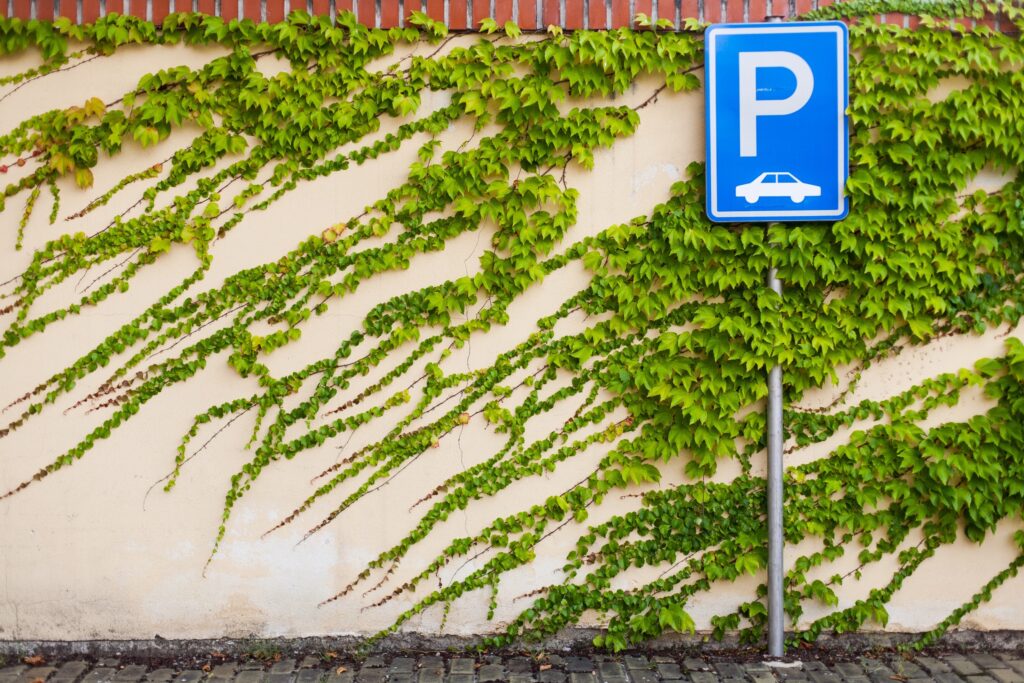 parcheggi uso pubblico temporaneo