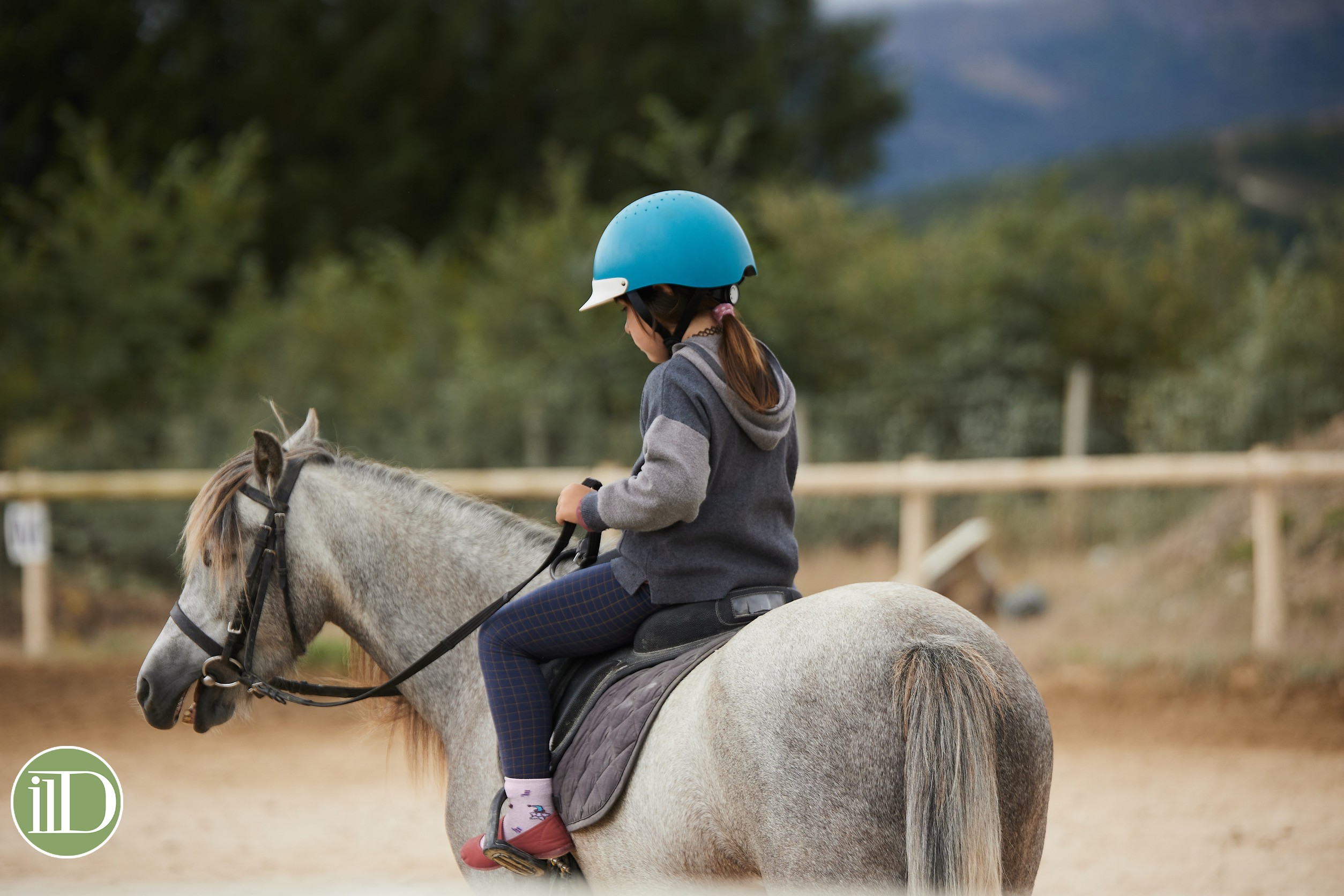 spese straordinarie figli