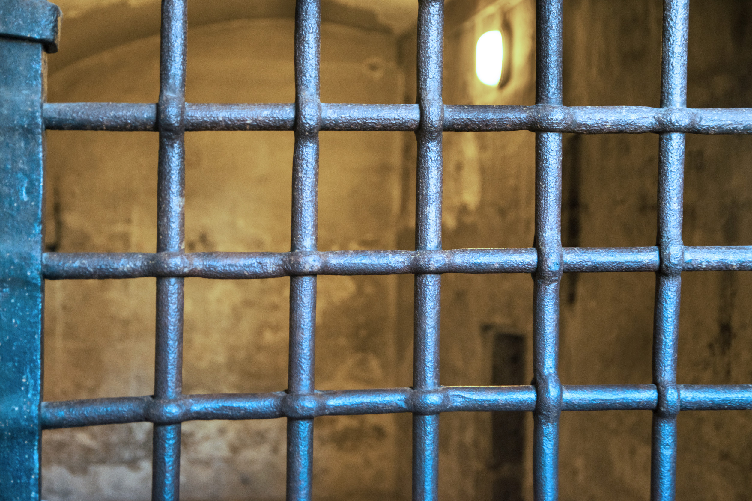 evasione dagli arresti domiciliari